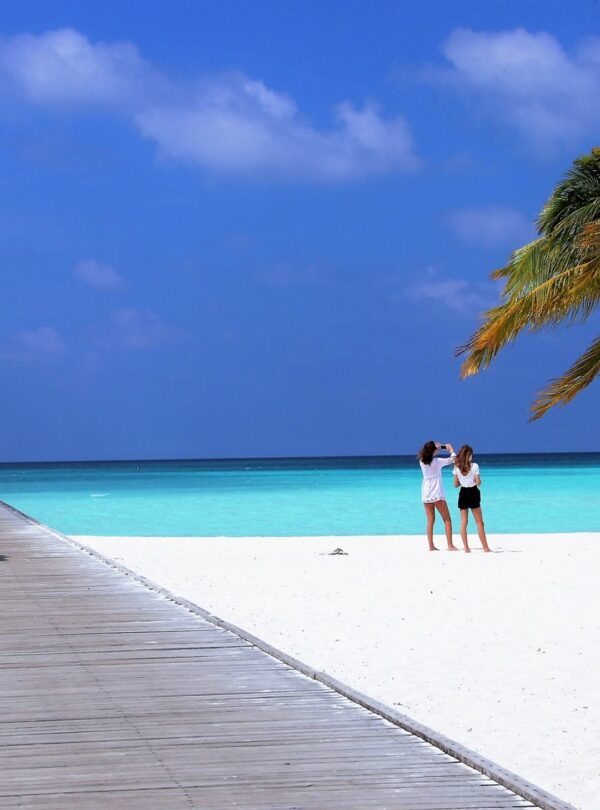 holiday-3220774_1920