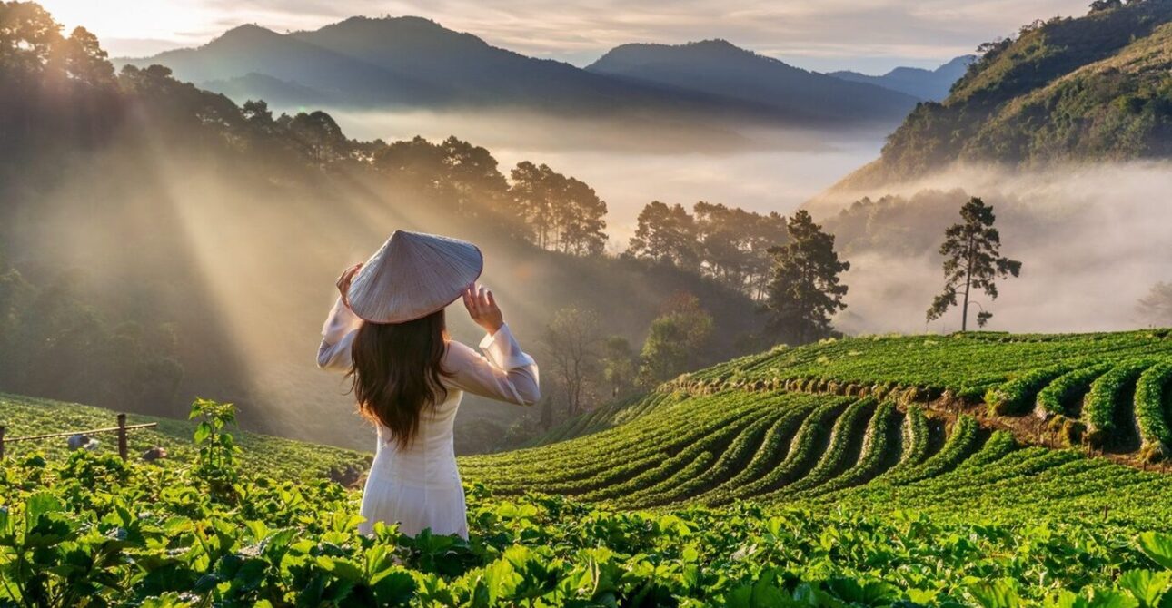 Lush Hill Stations